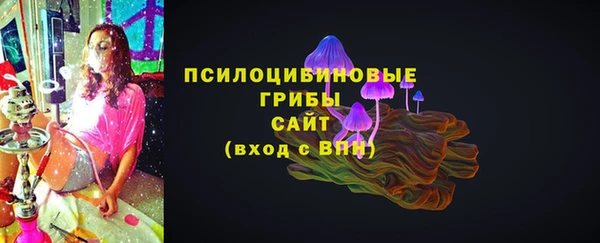 ПСИЛОЦИБИНОВЫЕ ГРИБЫ Белокуриха
