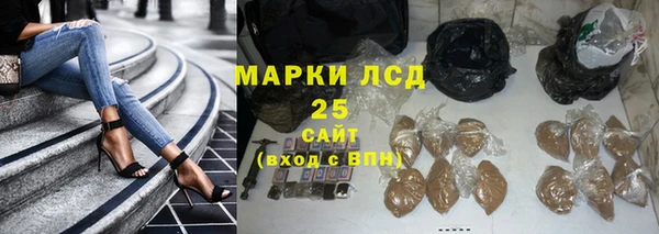 ПСИЛОЦИБИНОВЫЕ ГРИБЫ Белокуриха