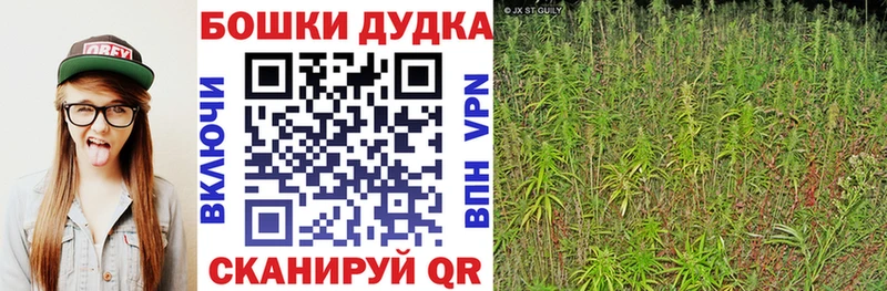 магазин    Дагестанские Огни  Конопля Ganja 